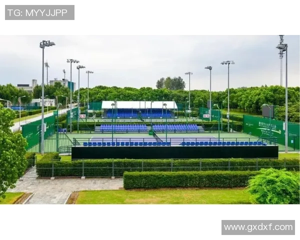 南京网球队运营模式解析与发展前景探讨